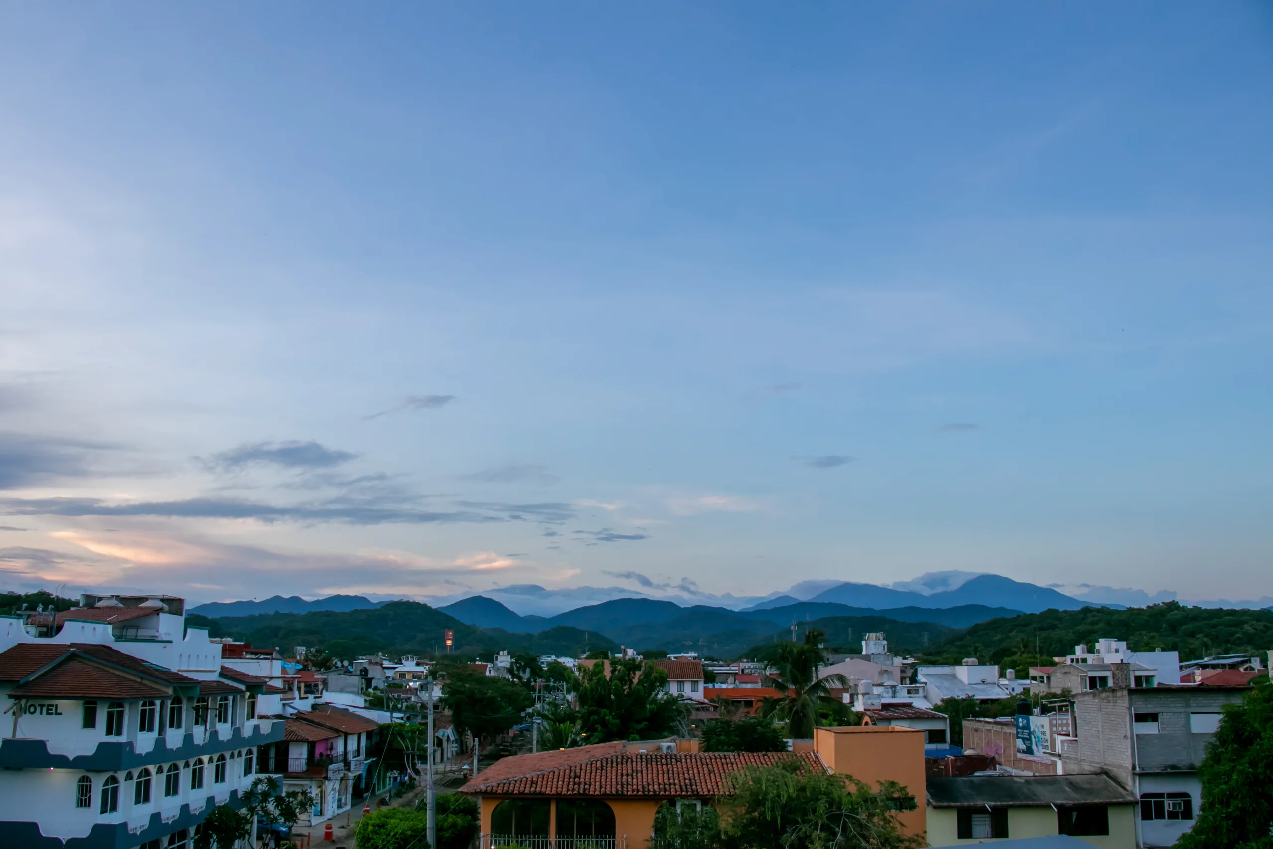 The View