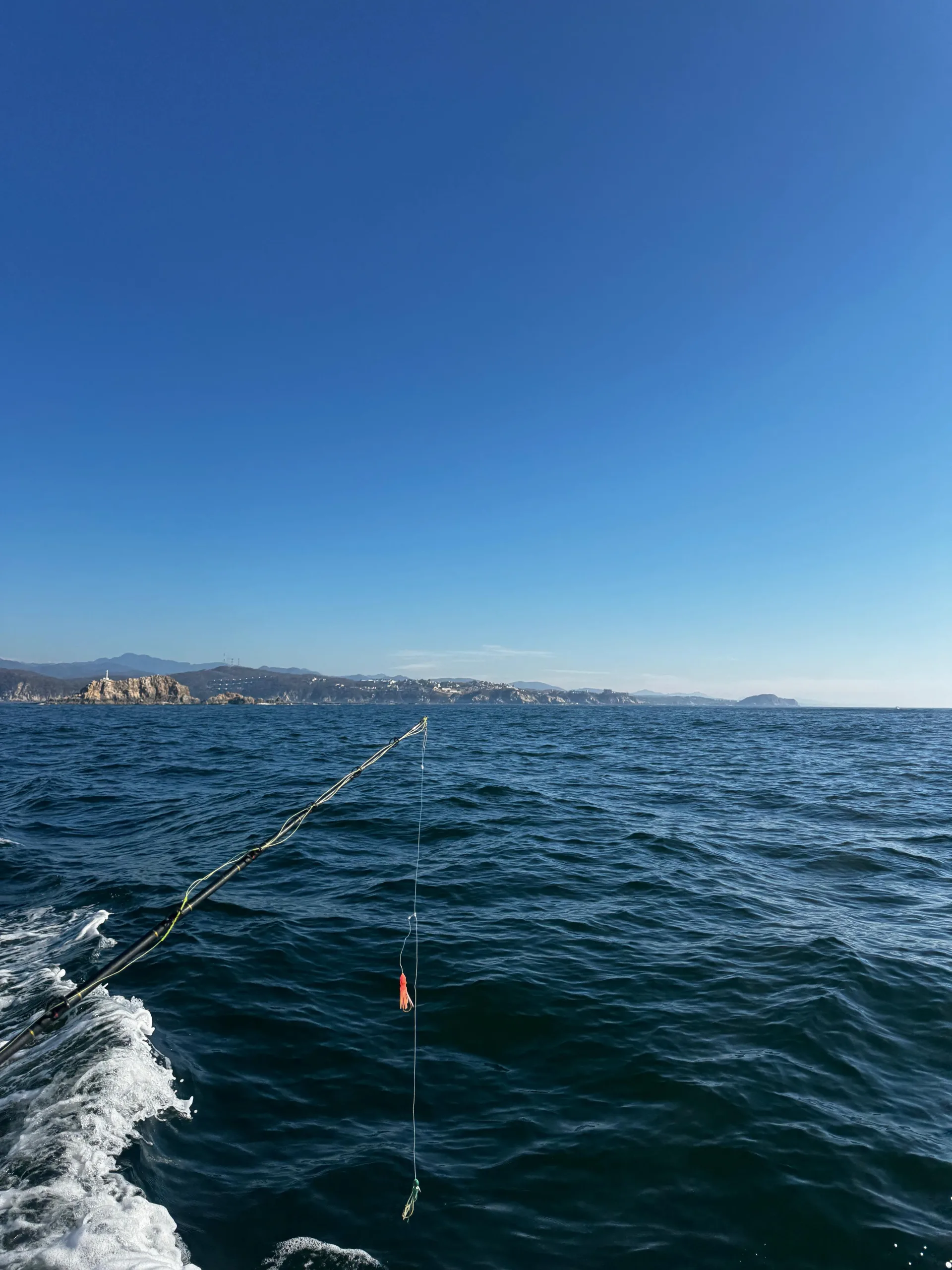 Bay Tour