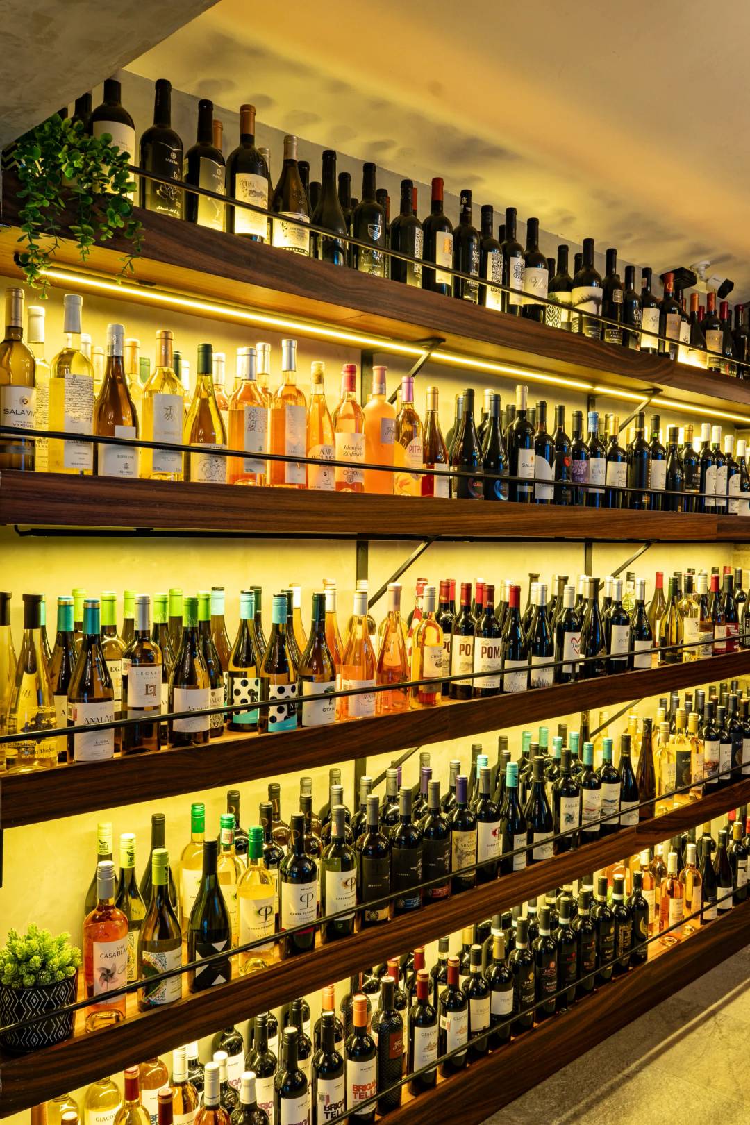 B95 Alcohol Store