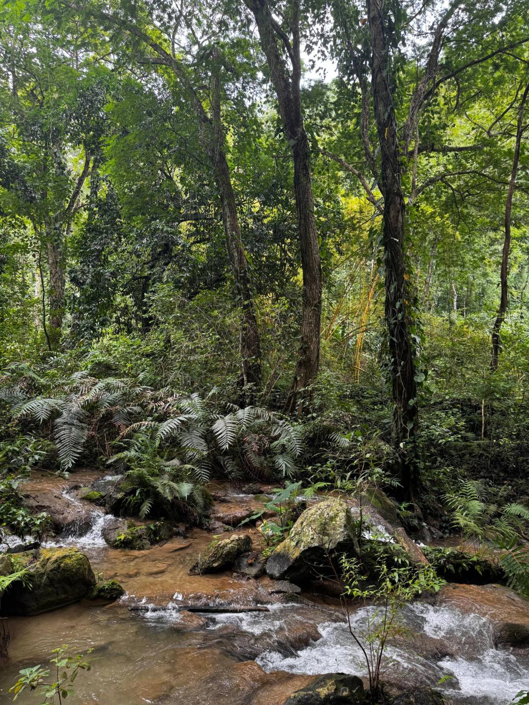 Huatulco National Park